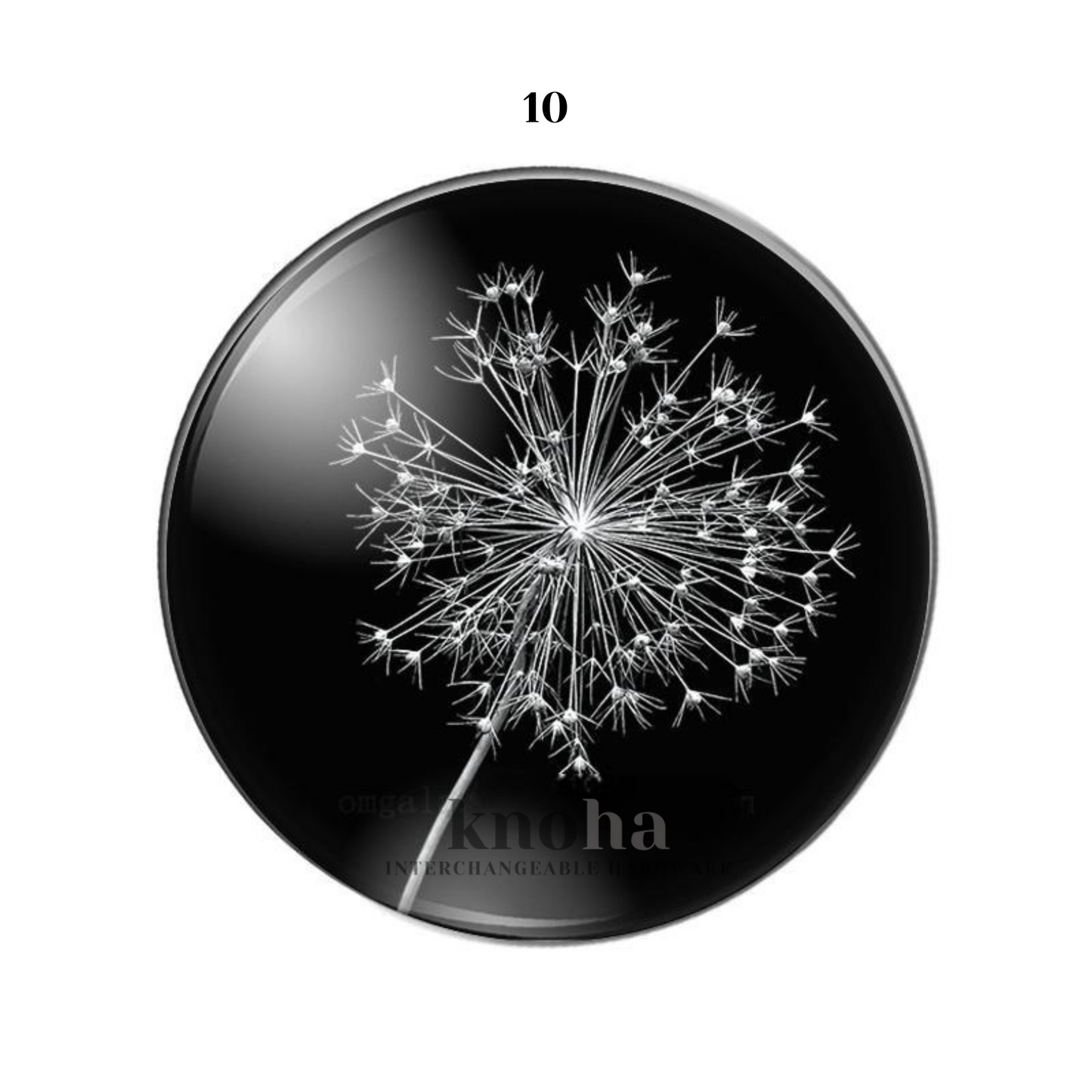 Dandelion - Black and White - Set of 10 *