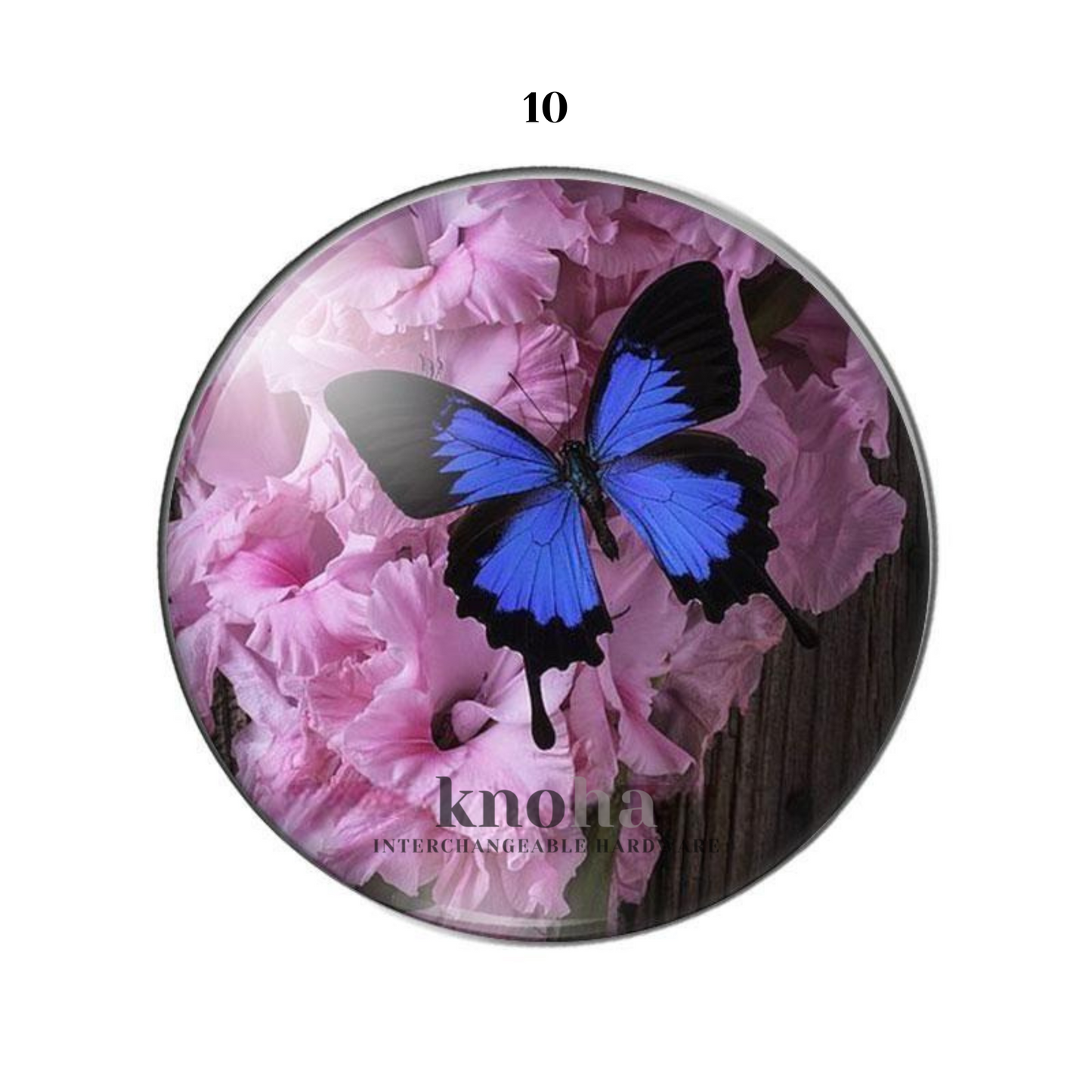 Butterflies in Flowers - Set of 10