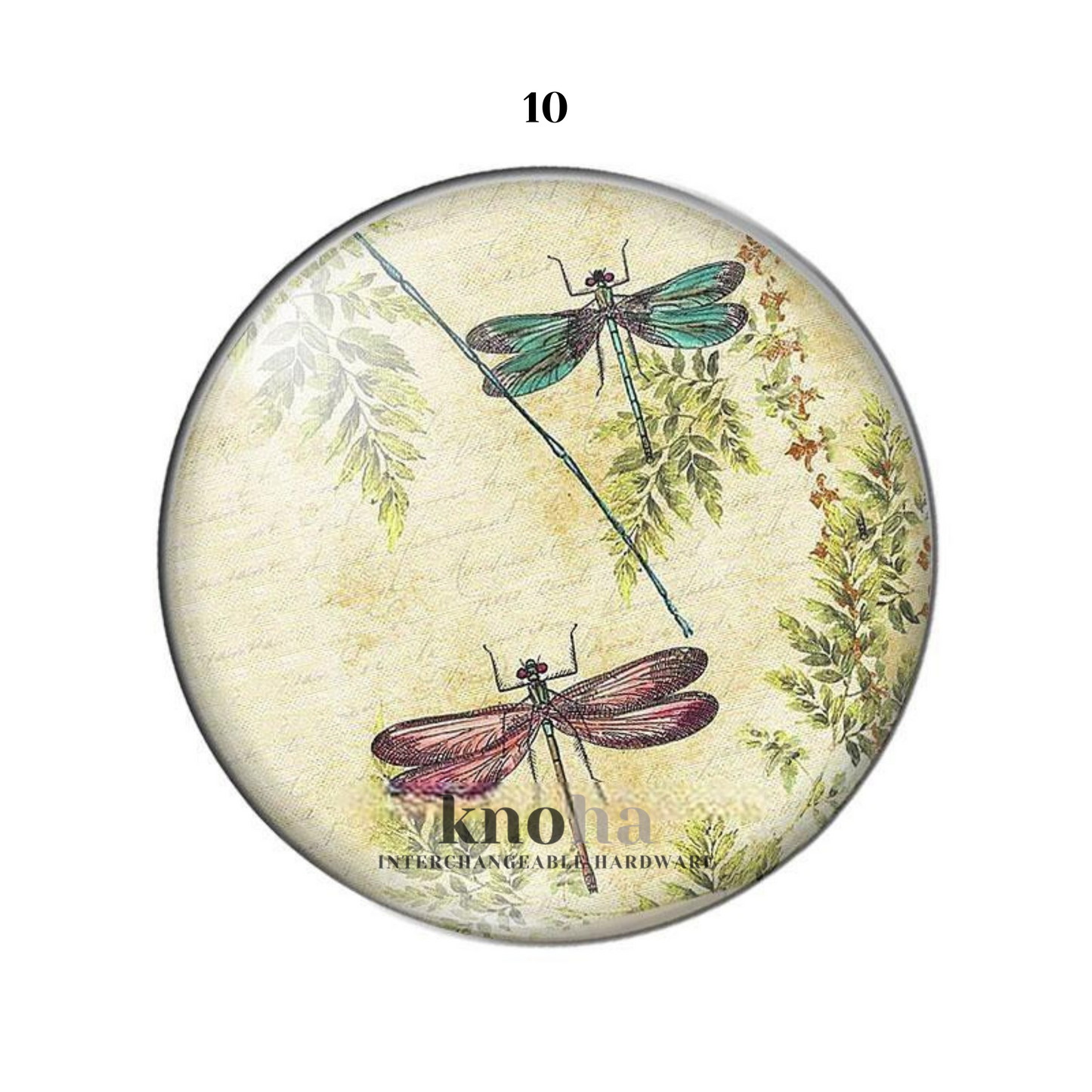 Dragonflies - Set of 10