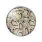 Animal Print - Set of 10