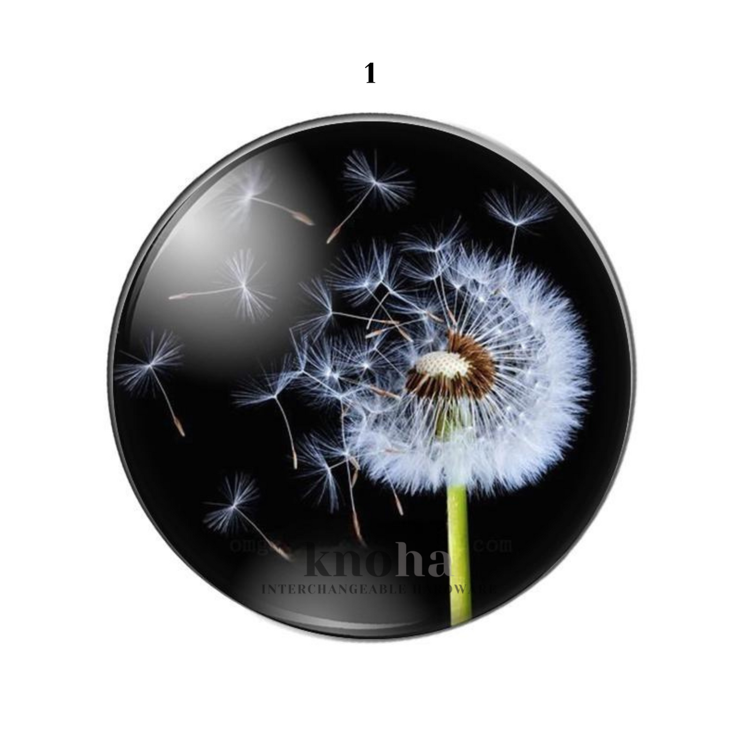 Dandelion - Black and White - Set of 10 *