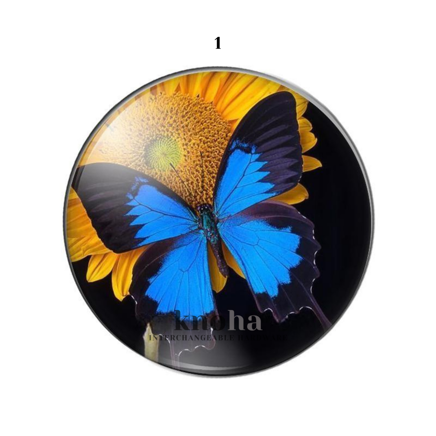 Butterflies in Flowers - Set of 10