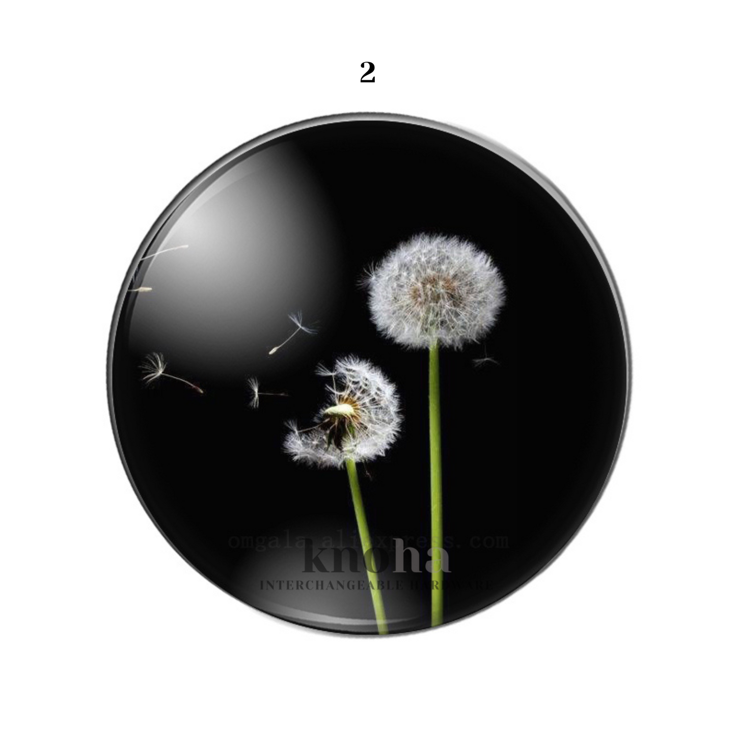 Dandelion - Black and White - Set of 10 *