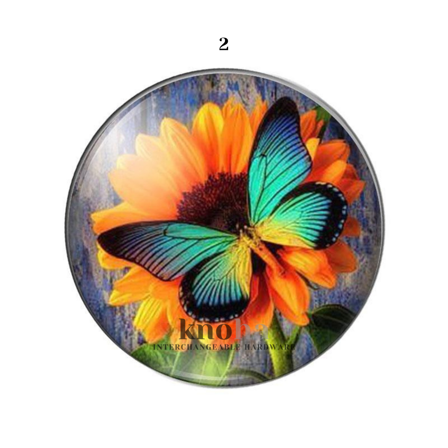 Butterflies in Flowers - Set of 10