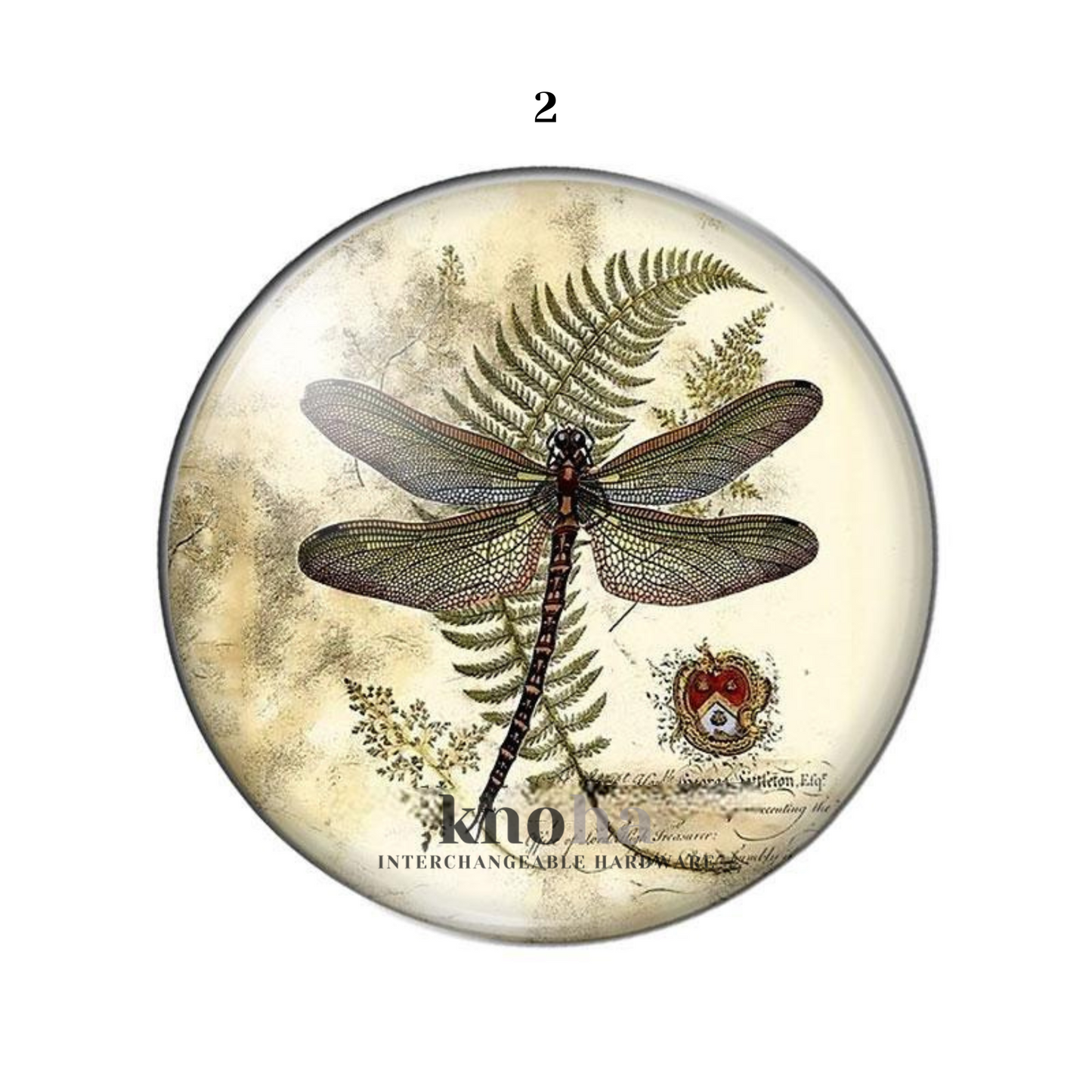 Dragonflies - Set of 10