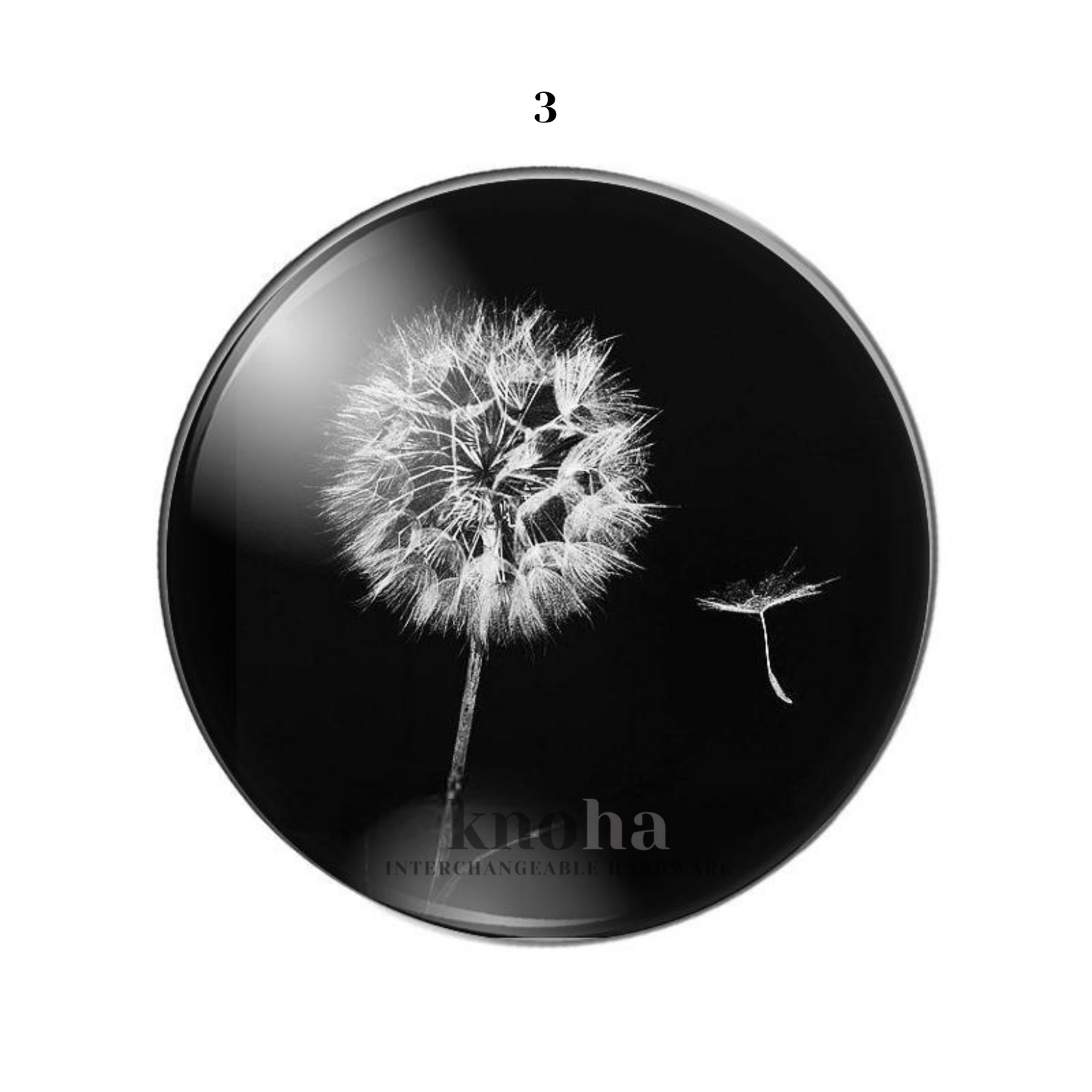 Dandelion - Black and White - Set of 10 *