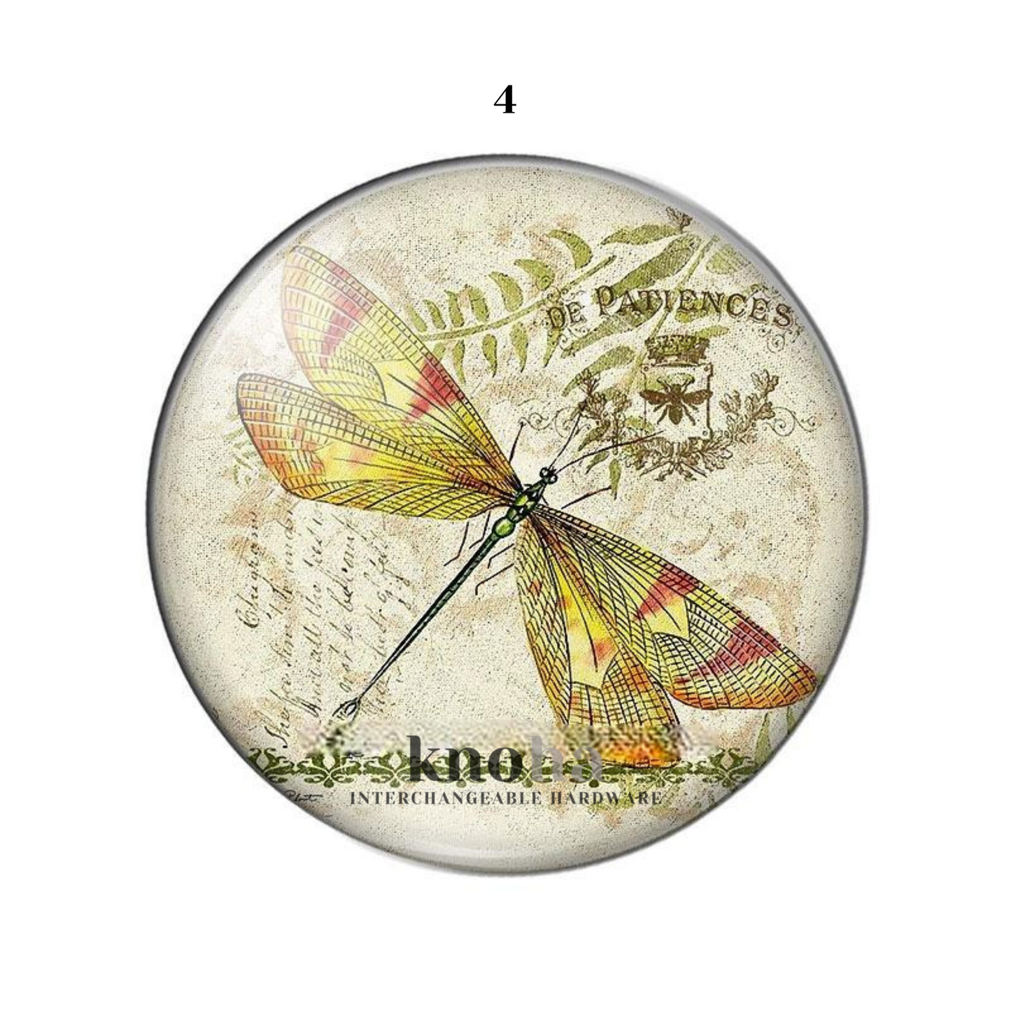 Dragonflies - Set of 10