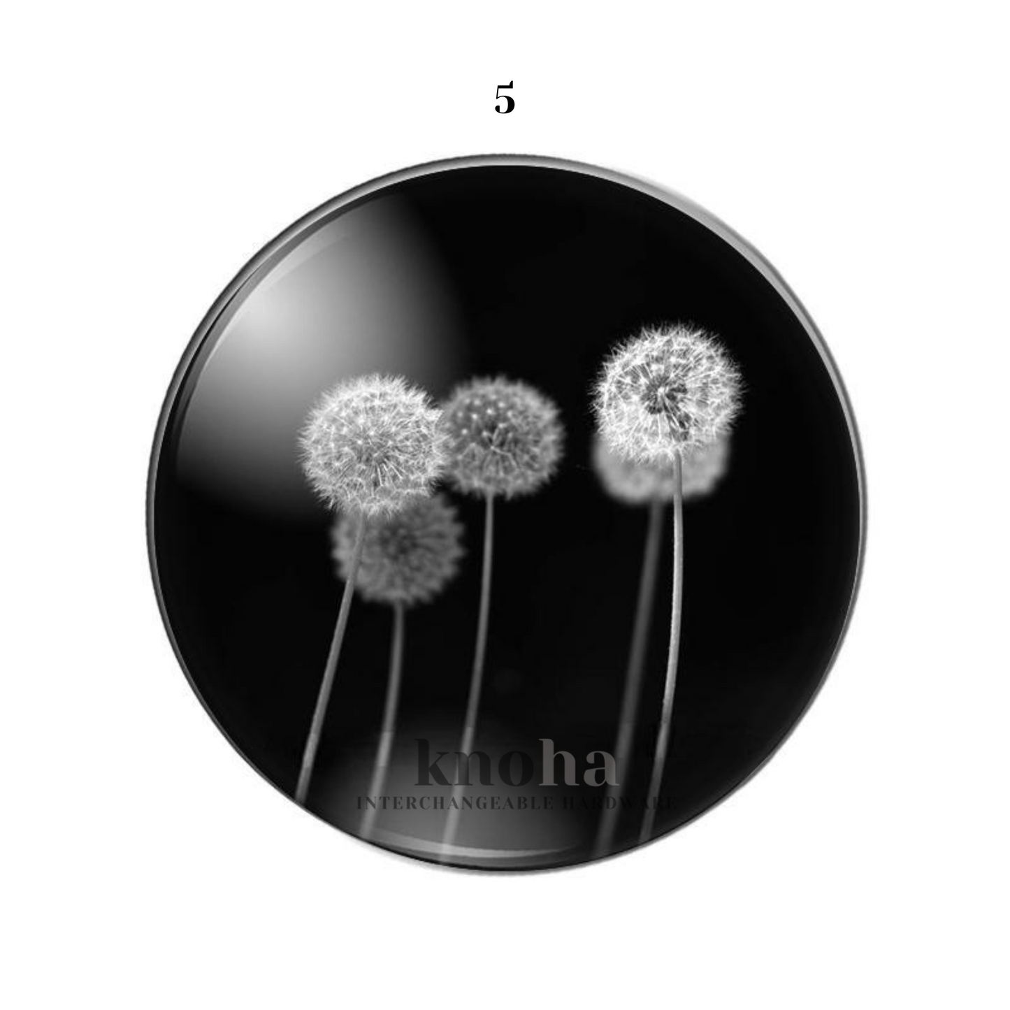 Dandelion - Black and White - Set of 10 *