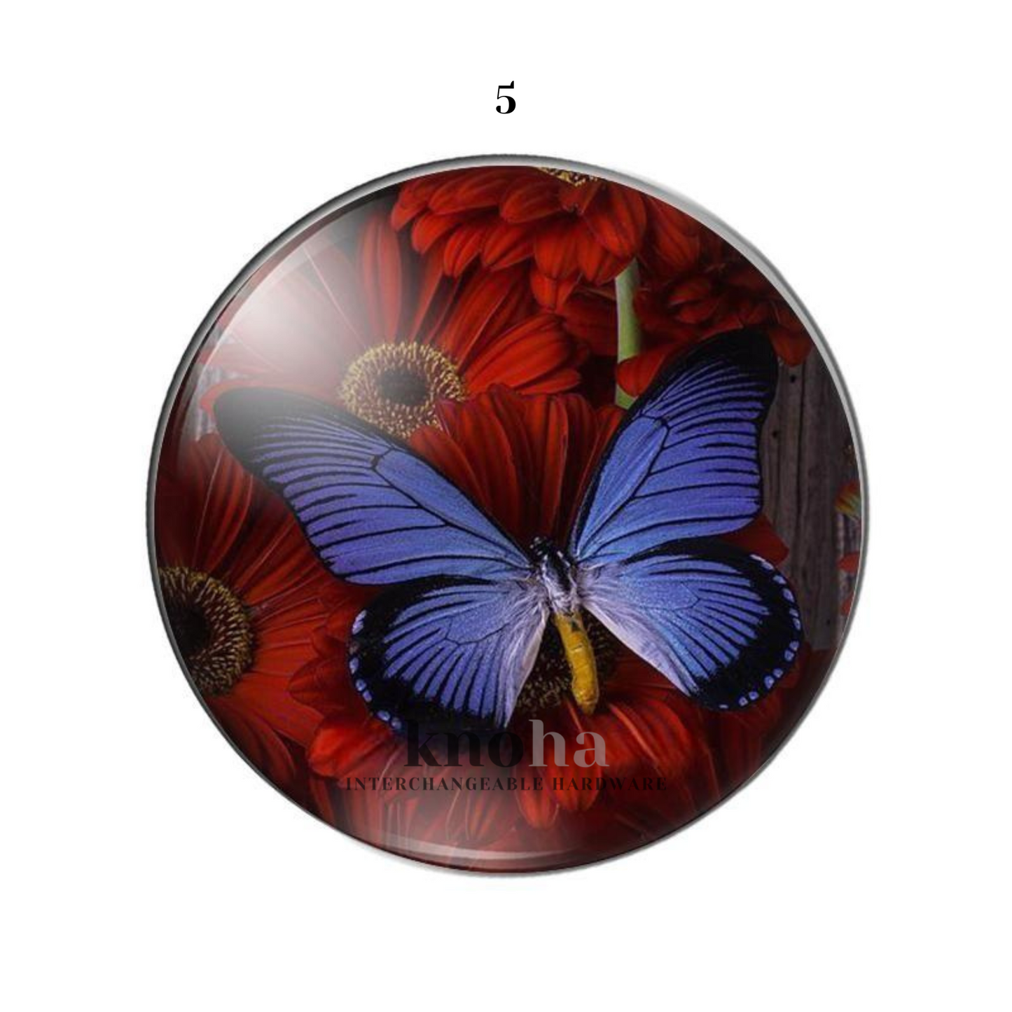 Butterflies in Flowers - Set of 10