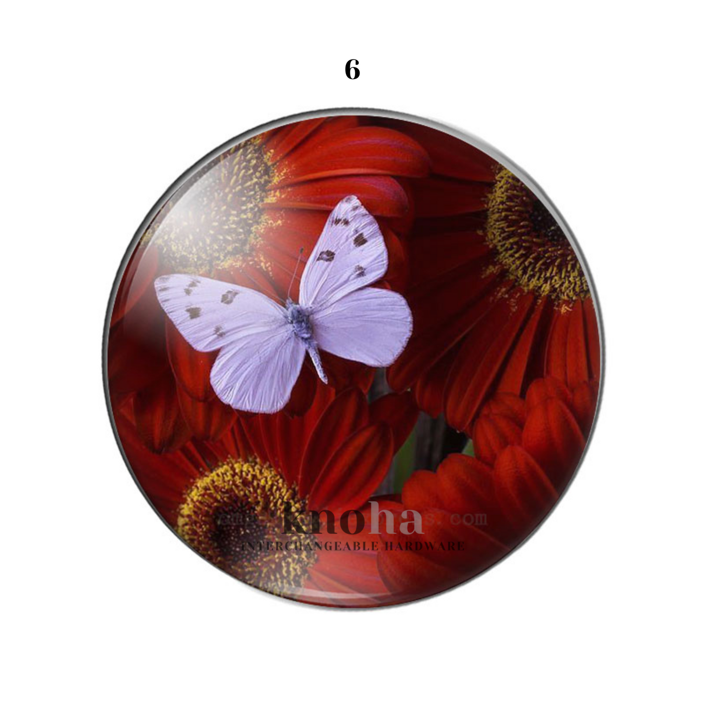 Butterflies in Flowers - Set of 10