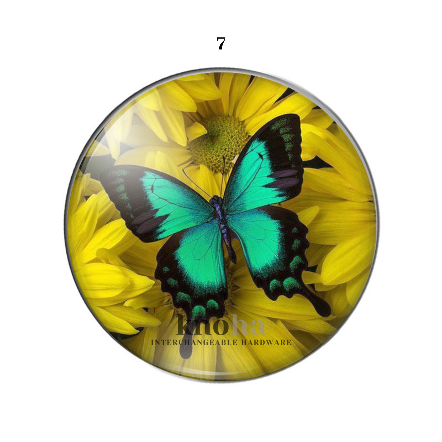 Butterflies in Flowers - Set of 10