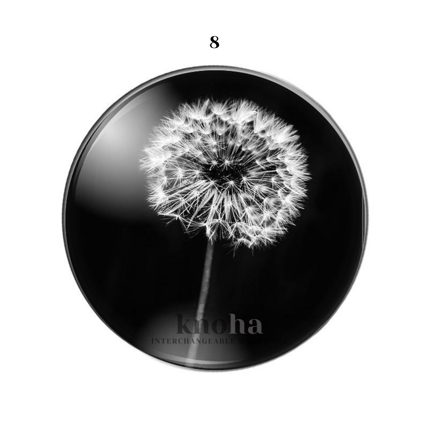 Dandelion - Black and White - Set of 10 *