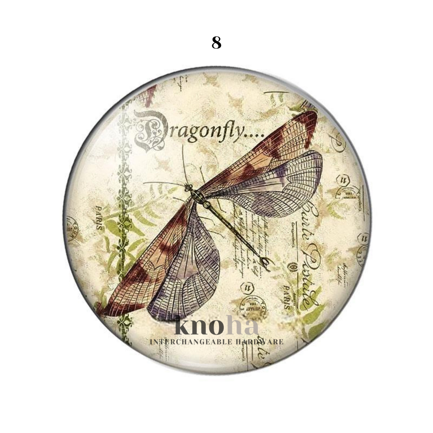 Dragonflies - Set of 10