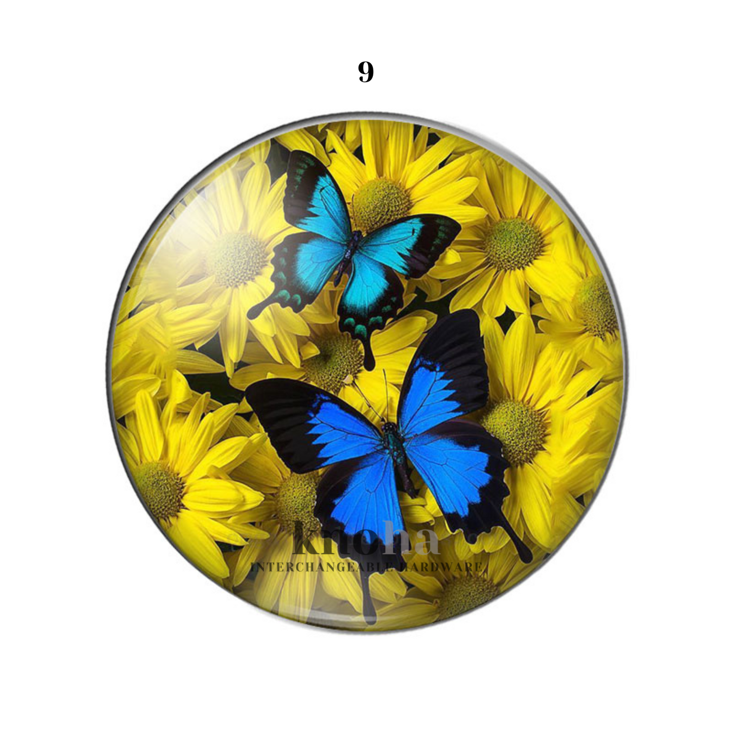 Butterflies in Flowers - Set of 10