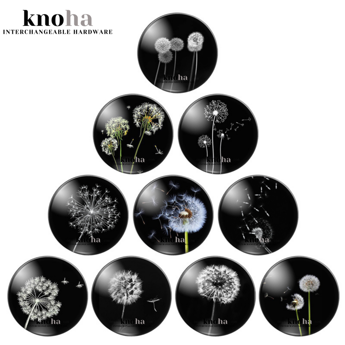 Dandelion - Black and White - Set of 10 *