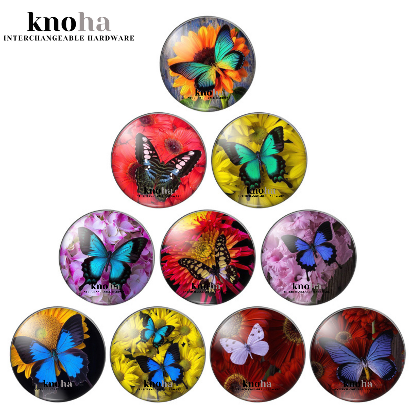 Butterflies in Flowers - Set of 10